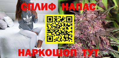 гидропоника Бузулук