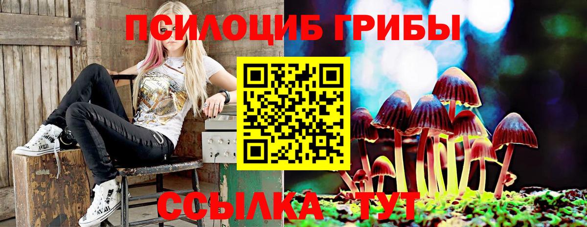 Галлюциногенные грибы мухоморы  сколько стоит  Кореновск 