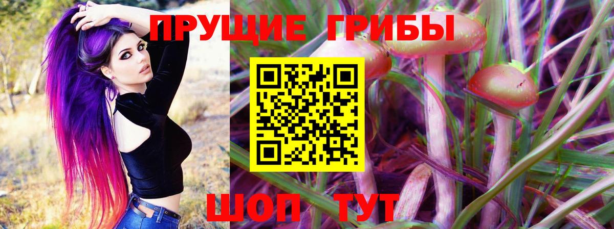 Галлюциногенные грибы мицелий  Вход с VPN  Кореновск 